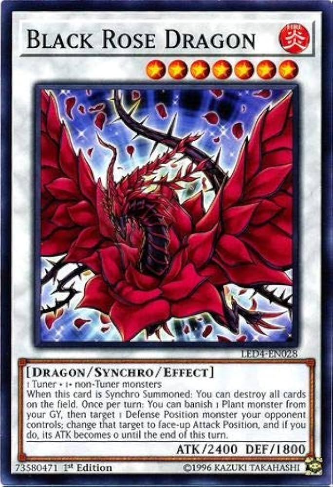 Drago Rosa Nera